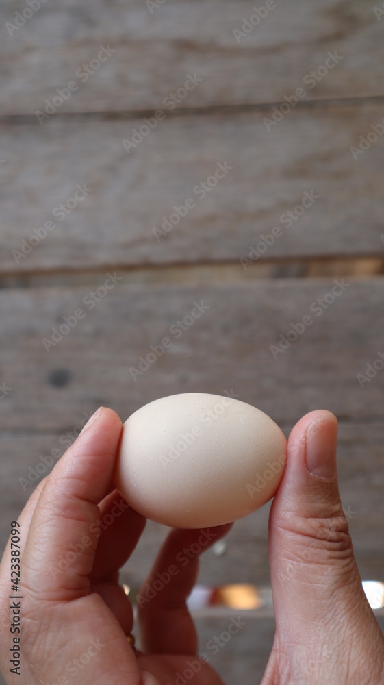 Egg in hand. Brown wooden board background for many kinds of cooking. Egg in hand. Brown wooden board background for many kinds of cooking.
