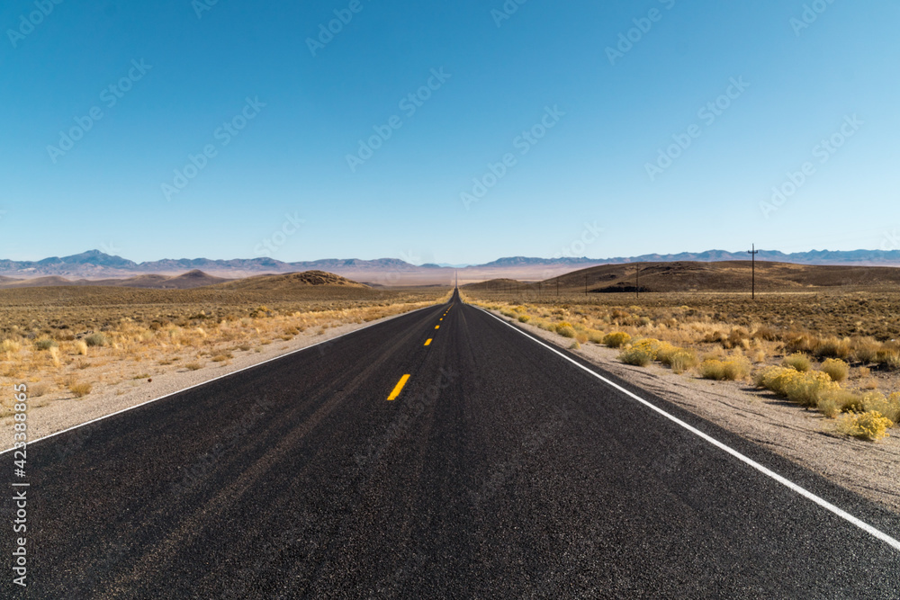 Road disappearing into the distance in desert landscape.