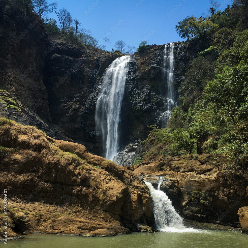 Obraz premium waterfall in the forest