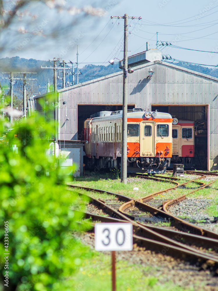 Naklejka premium いすみ鉄道 キハ52 大多喜駅