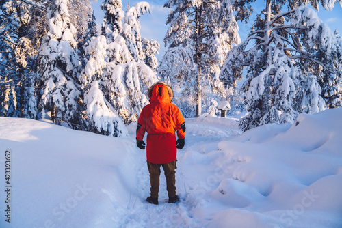 Back view of male in trendy red winter coat standing on snowy road in wood explore destination on travel, man spending time in forest during vacation holidays on northern nature