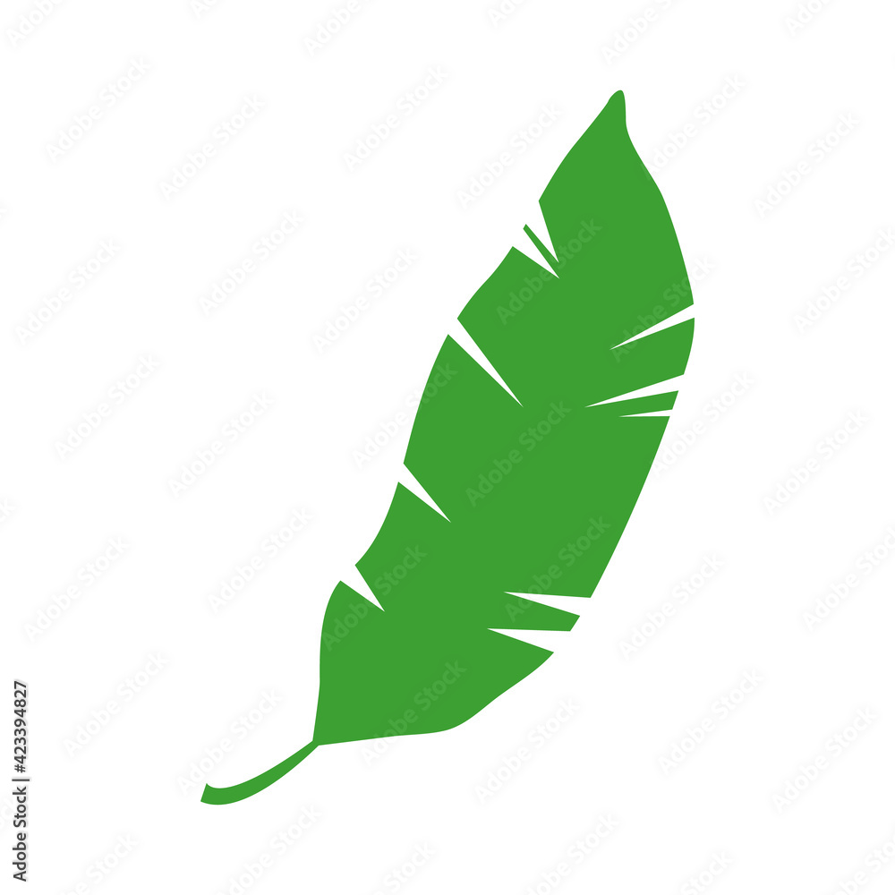 Jungle tropical green leaf, rainforest herbal element. Stock vector illustration isolated on white background. Can be used as an isolated sign, symbol or icon. Botanical plant flat vector illustration Jungle tropical green leaf, rainforest herbal element. Stock vector illustration isolated on white background. Can be used as an isolated sign, symbol or icon. Botanical plant flat vector illustration