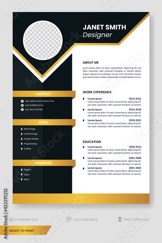 Modern cv template, curriculum vitae background, flyer, business template. Ready to print.