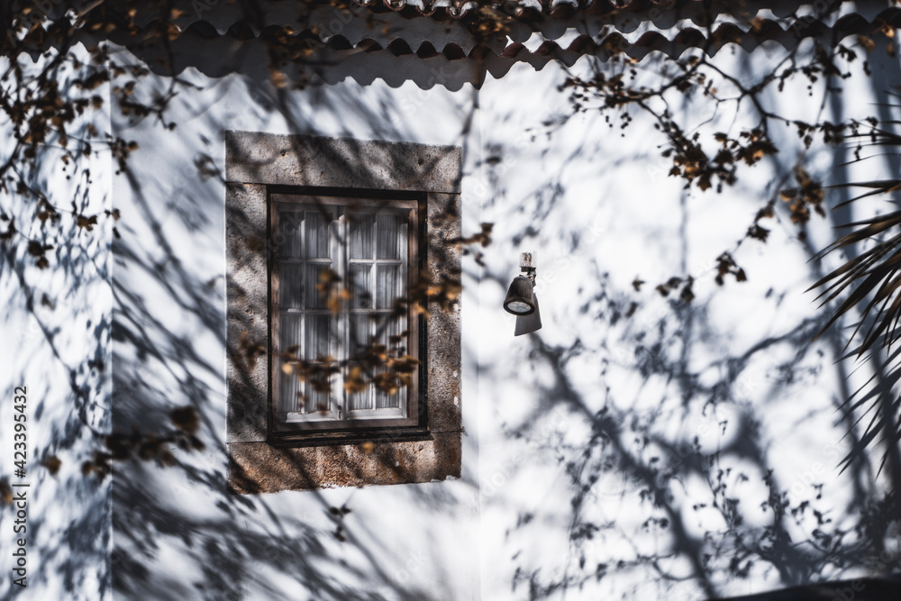 A facade of an old antique stone residential house lit by the bright afternoon sun with contrast beautiful pattern of shadows of trees on the bright plaster facade; a single stained-glass window, lamp A facade of an old antique stone residential house lit by the bright afternoon sun with contrast beautiful pattern of shadows of trees on the bright plaster facade; a single stained-glass window, lamp