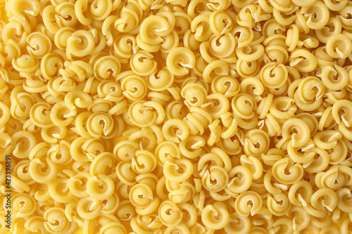 Italian curly pasta (Dischi Volanti) as a background. Flying saucer shaped pasta.