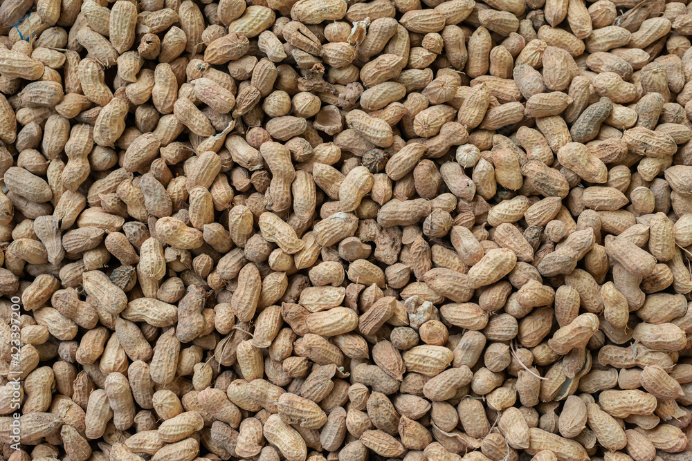 A large number of peanuts A large number of peanuts