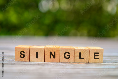 Wooden cubes with SINGLE word on blurred background.