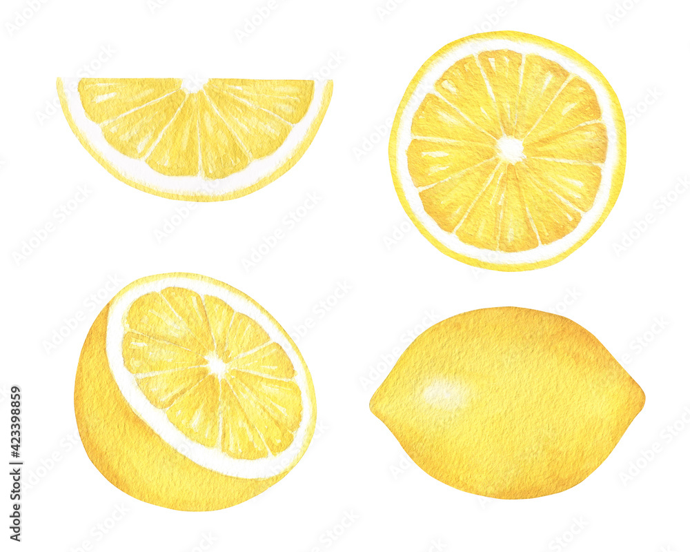 Lemons Watercolor Set Lemons Watercolor Set
