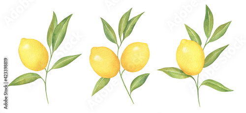 Lemon Branches Watercolor Set
