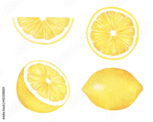 Lemons Watercolor Set