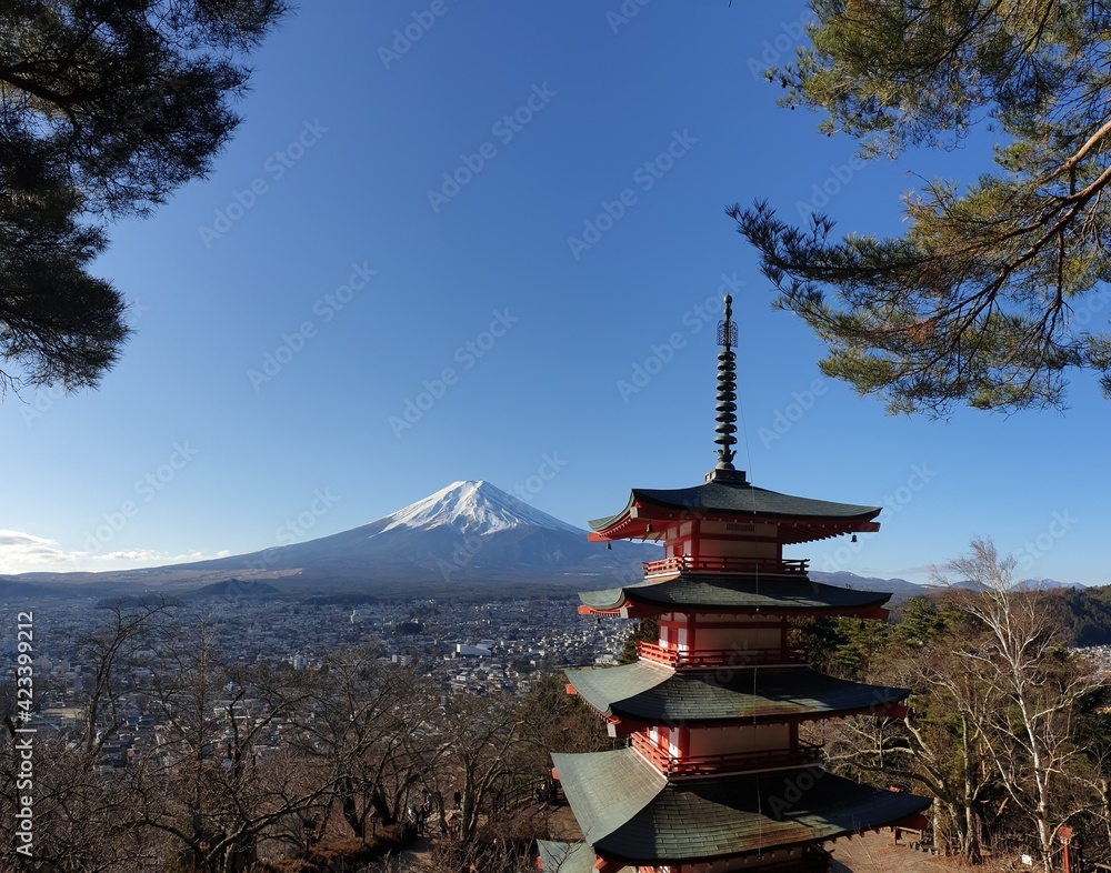 View on Chureito Pagoda and mountain of the mountains Mt Fuji, Japan, captured on a clear, sunny day in winter. Top of the volcano covered with snow. Trees aren't blossoming yet. Postcard from Japan.