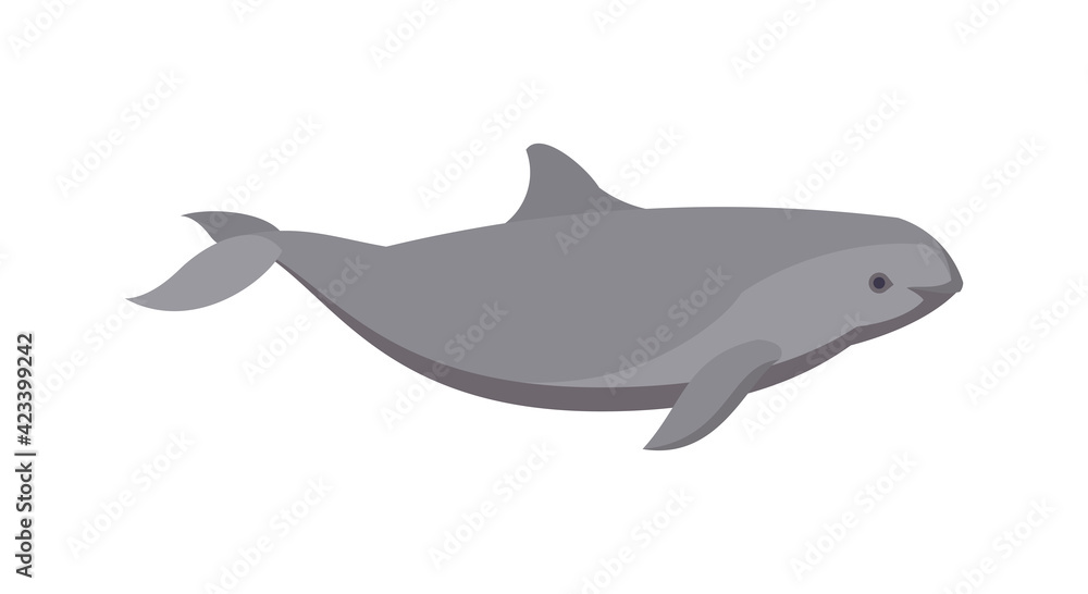 Flat harbour porpoise dolphin. Vector illustration Flat harbour porpoise dolphin. Vector illustration