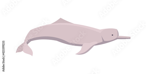 Flat amazon river dolphin. Vector illustration