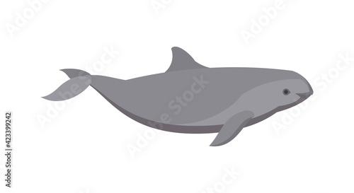 Flat harbour porpoise dolphin. Vector illustration