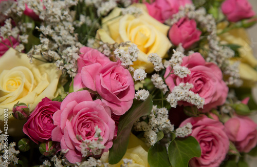 Bouquet of pink and yellow roses for background. Horizontal natural pattern. Close-up of flower wall