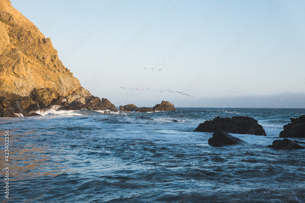 Fototapeta premium Birds flying at sunset in Big Sur, California
