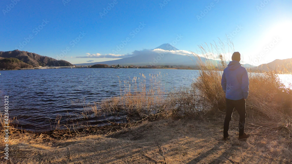 A man walking in between golden grass at the shore of Kawaguchiko Lake Japan with the view on Mt Fuji. He enjoying the view on the volcano. The mountain surrounded by clouds. Adventure and exploration