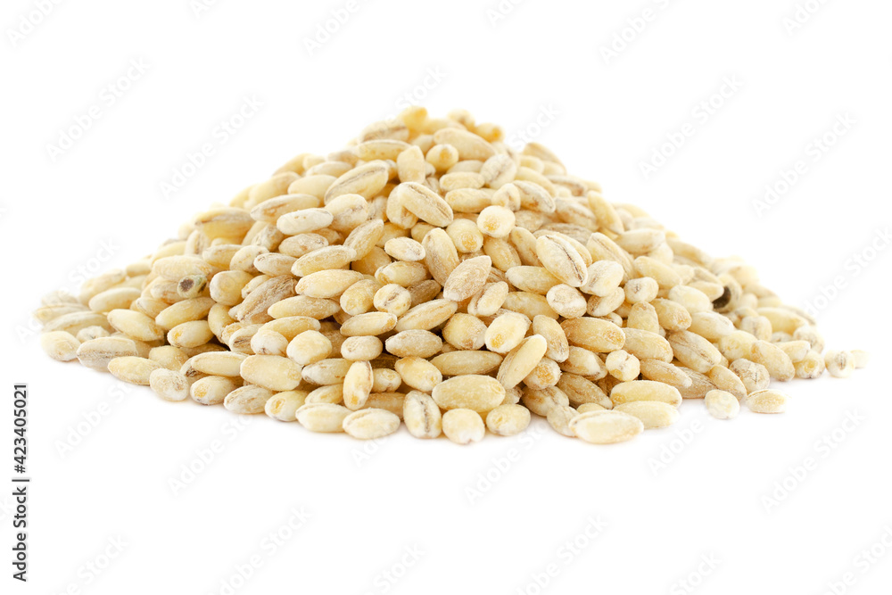 Pile pearl barley isolated on white, top view. Heap of pearl barley isolated on white background. Pearl barley isolated on white background, top view. Grains of barley malt on a white background. Pile pearl barley isolated on white, top view. Heap of pearl barley isolated on white background. Pearl barley isolated on white background, top view. Grains of barley malt on a white background.