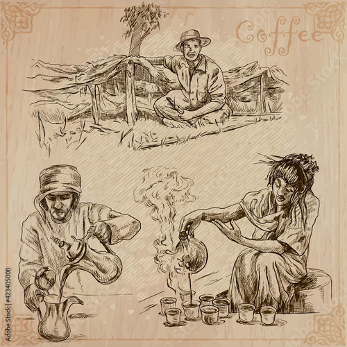 Coffee harvesting and processing. Agriculture. An hand drawn vector illustration.