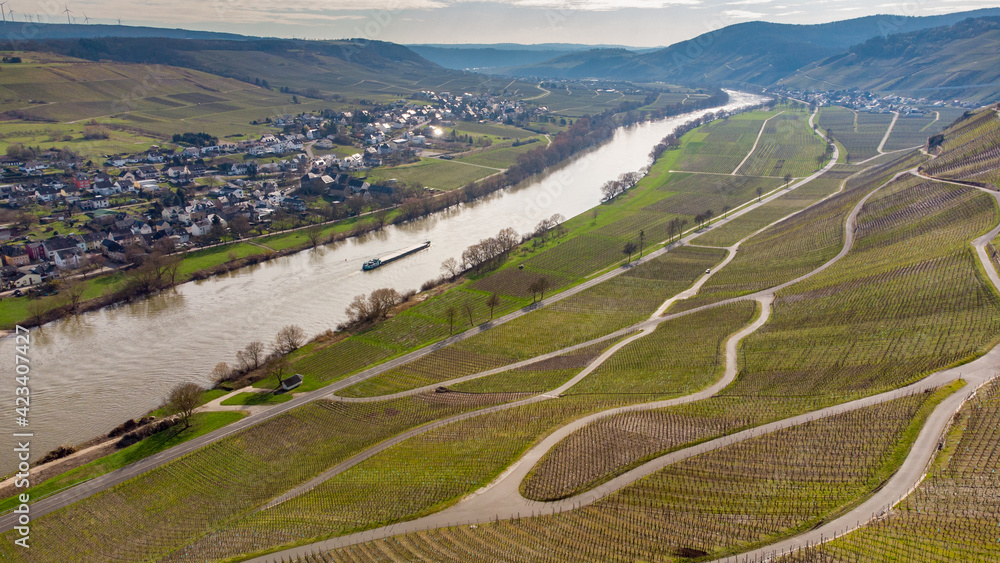 Aerial view of the river Moselle valley and the village Brauneberg
