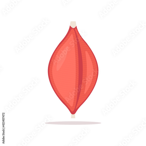 Human muscle tissue flat icon. Vector muscle anatomy isolated icon