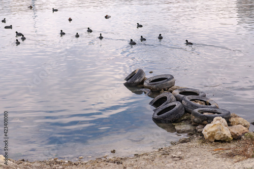 Old tires on the beach. Pollution of the reservoir with old car tires. Garbage on the shore