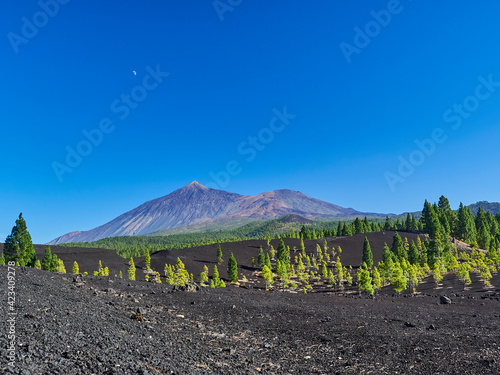 Volcanic landscape of el Teide on tenerife island, Spain.