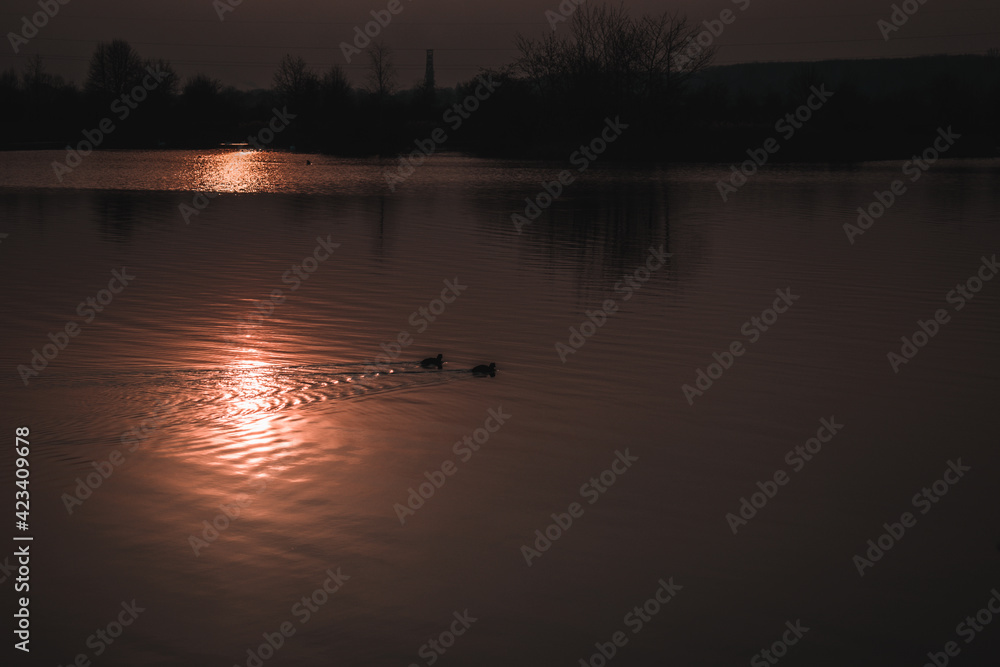 sunset on the river