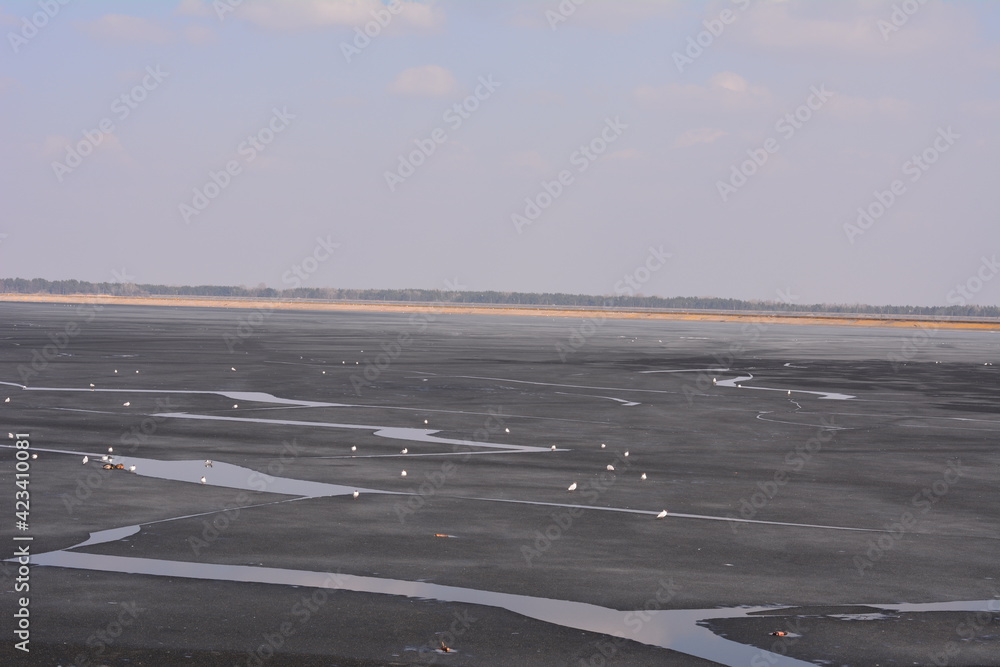 Fototapeta premium road to the sea