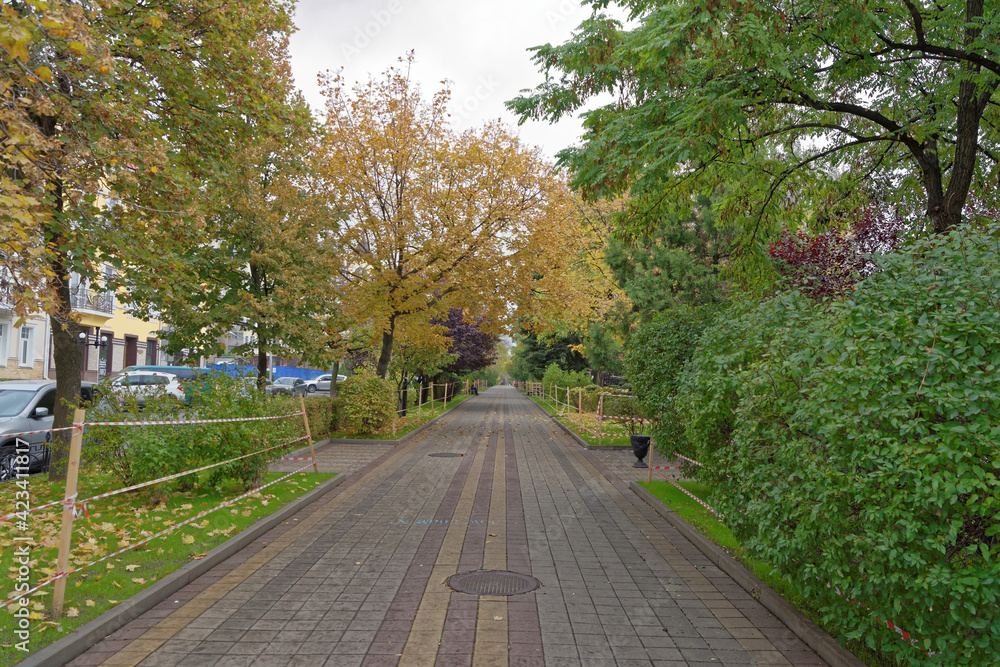 Pushkinskaya Street in autumn day. On the street there are cars Pushkinskaya Street in autumn day. On the street there are cars
