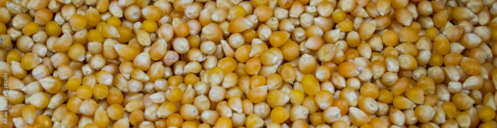 Banner corn grits groat background. Top view, closeup Banner corn grits groat background. Top view, closeup