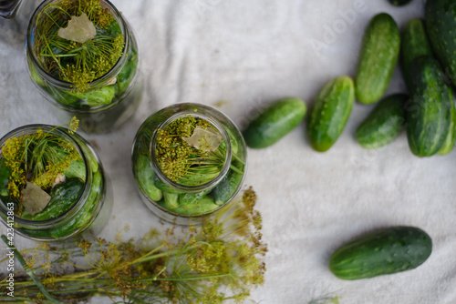 Fototapeta Naklejka Na Ścianę i Meble -  autumn vegetable preserves, pickling cucumbers in huge jars with garlic and dill