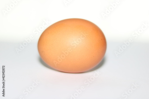 egg on white