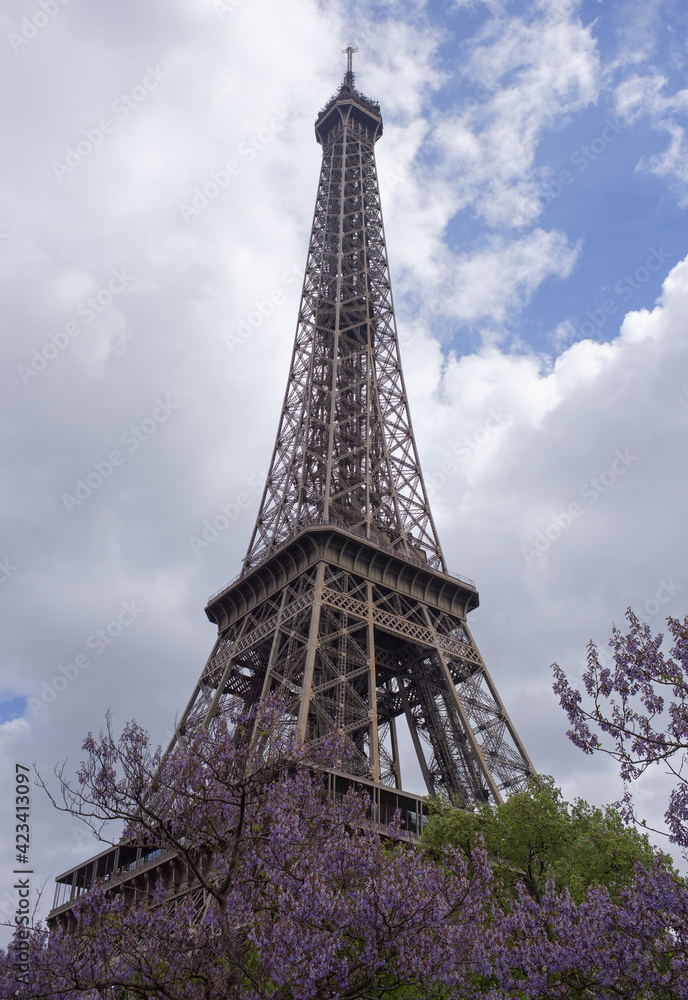  View of the Eiffel Tower with flowering trees