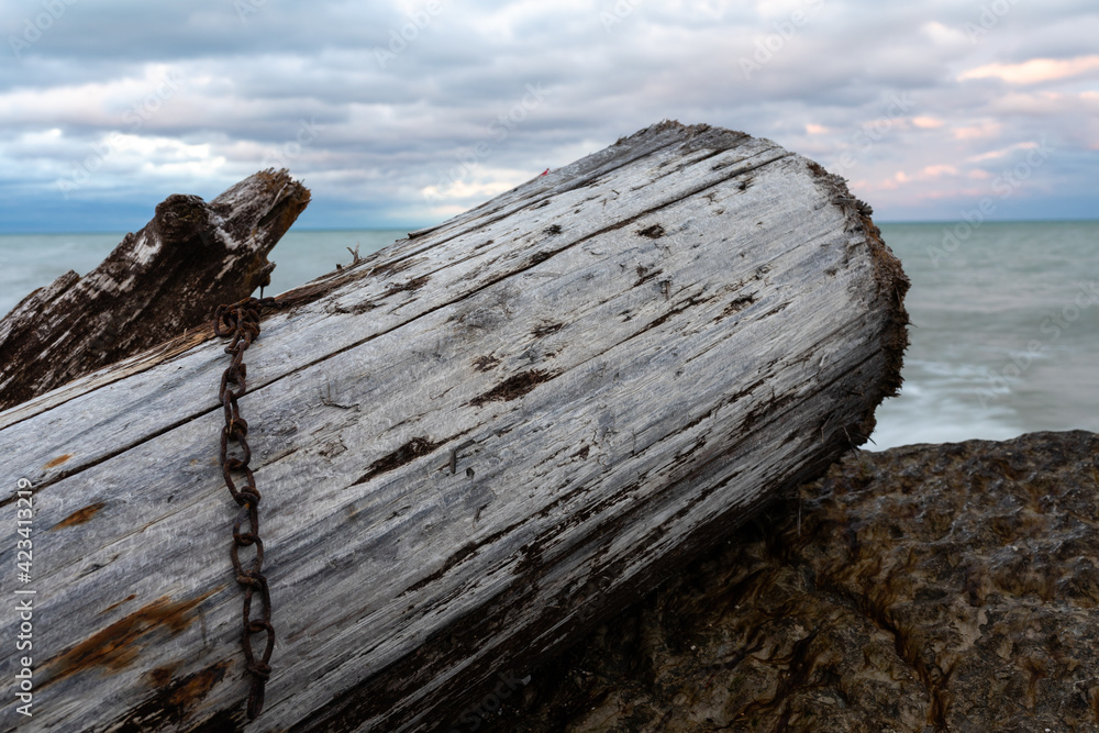 A landscape view of a log that drifted ashore on the coast of the Lake Michigan in the early spring A landscape view of a log that drifted ashore on the coast of the Lake Michigan in the early spring