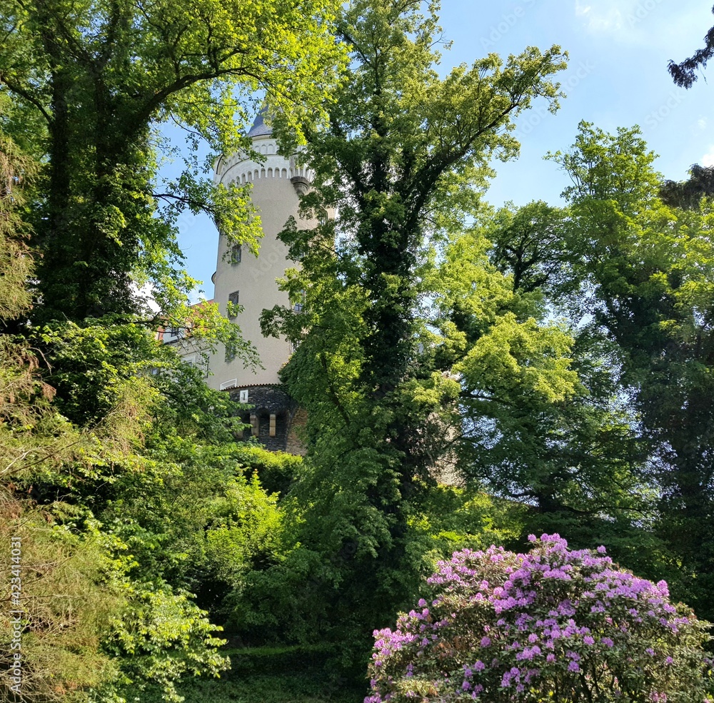 View of the castle from the garden