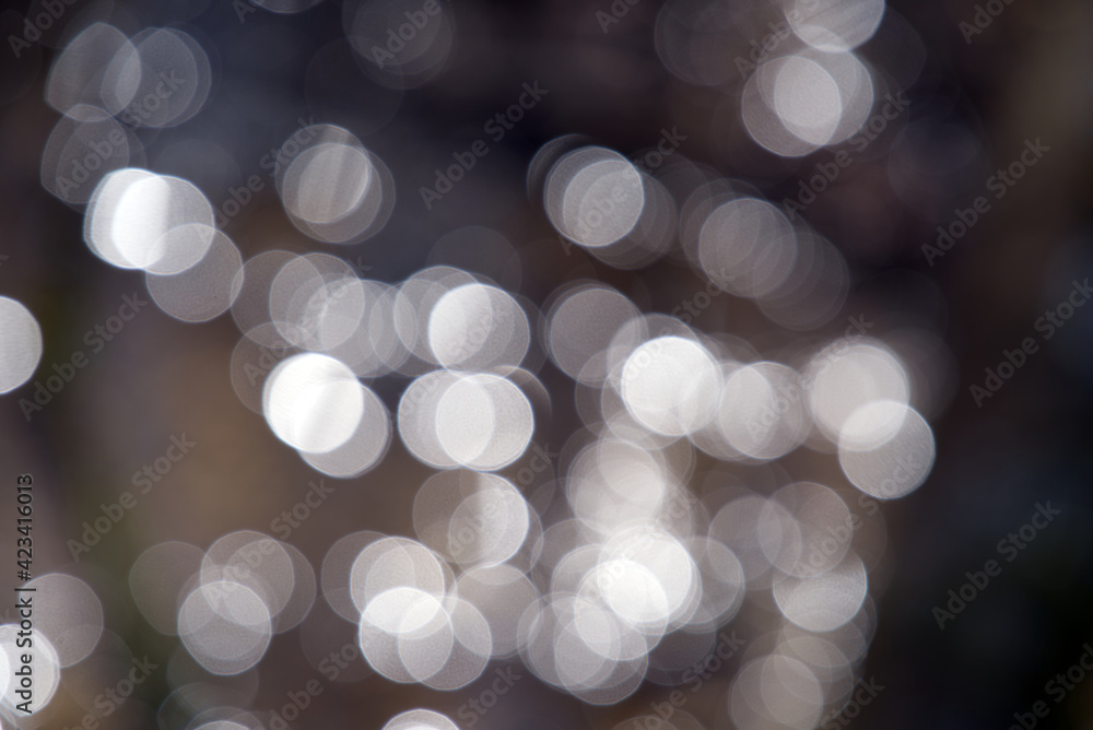 Obraz premium Beautiful white bokeh in the forest, Zurich, Switzerland. Photo taken March 27, 2021.