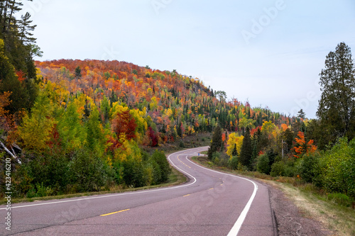 Winding road and autumn foliage near Caribou Lake, northern Minnesota, USA