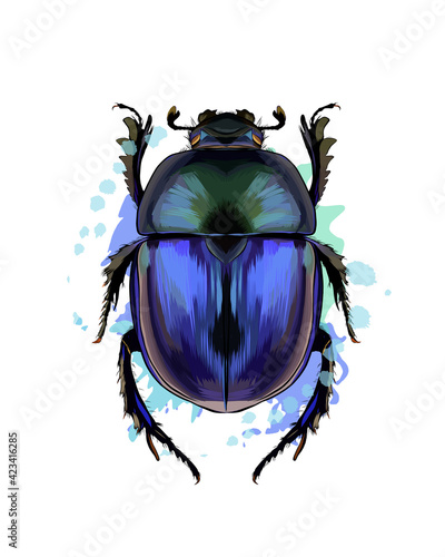 Scarab beetle from a splash of watercolor, colored drawing, realistic. Vector illustration of paints