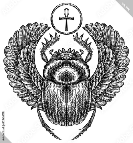 Engrave isolated scarab hand drawn graphic illustration