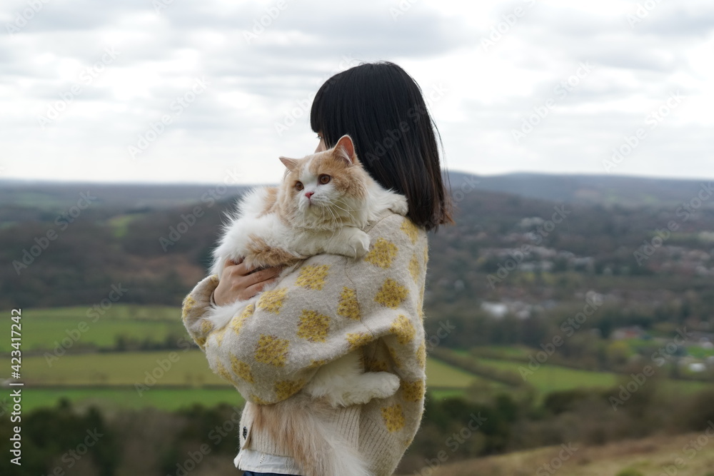 cat, animal, pet, kitten, fores, cute, feline, domestic, fur, kitty, grass, mammal, autumn, nature, pets, portrait, fluffy, eyes, outdoors, animals, young, tabby, adorable, outdoor, looking, leaves, cat, animal, pet, kitten, fores, cute, feline, domestic, fur, kitty, grass, mammal, autumn, nature, pets, portrait, fluffy, eyes, outdoors, animals, young, tabby, adorable, outdoor, looking, leaves,