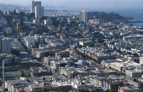 Beautiful aerial view of the San Francisco, USA. View of the Downtown, San Francisco bay and long steep streets.
