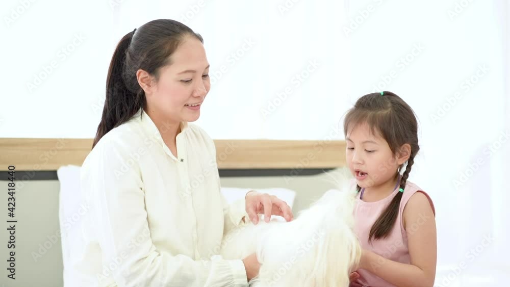 Mom and daughter grooming a long-haired white dog. Maltese dog. Mom and daughter grooming a long-haired white dog. Maltese dog.