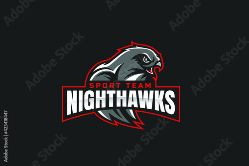 Aggressive Nighthawk Sport Team Logo