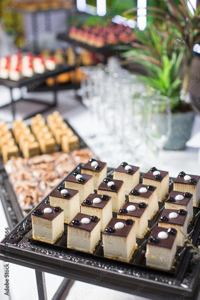 Reception at special occasion, sweet canapés and etc. Reception at special occasion, sweet canapés and etc.