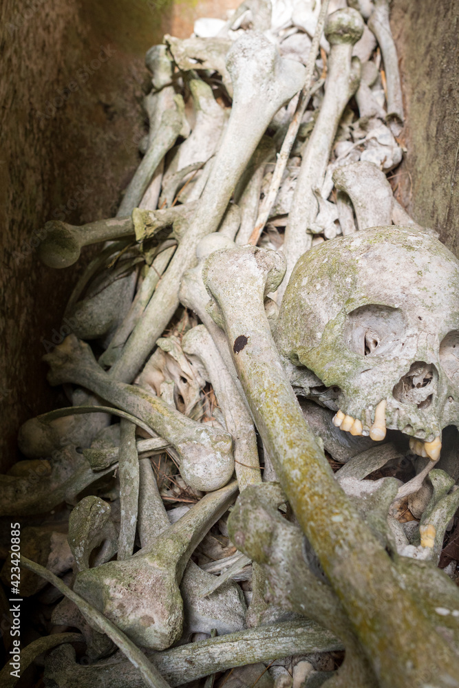 Skulls and bones in a coffin called Erong, exposed in the spectacular cave tomb of Lombok Parinding which has housed the dead of Tana Toraja since 700 years Skulls and bones in a coffin called Erong, exposed in the spectacular cave tomb of Lombok Parinding which has housed the dead of Tana Toraja since 700 years