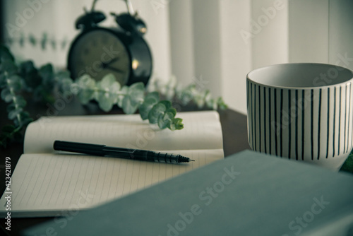 Eucalyptus Notebook Desk