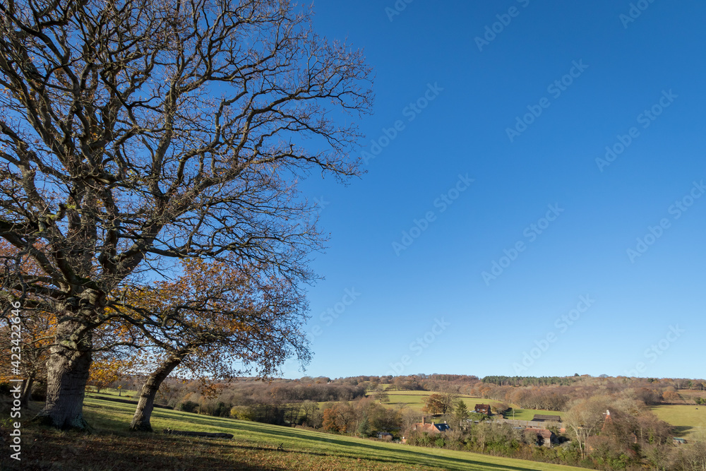 SUSSEX/UK - NOVEMBER 25 : View of Buildings and Farmland in the Rolling Countryside of Sussex on November25, 2016 SUSSEX/UK - NOVEMBER 25 : View of Buildings and Farmland in the Rolling Countryside of Sussex on November25, 2016