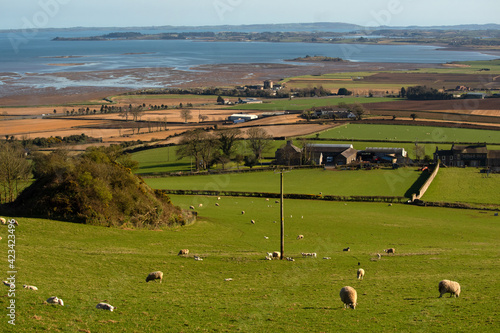 Killynether Country Park views