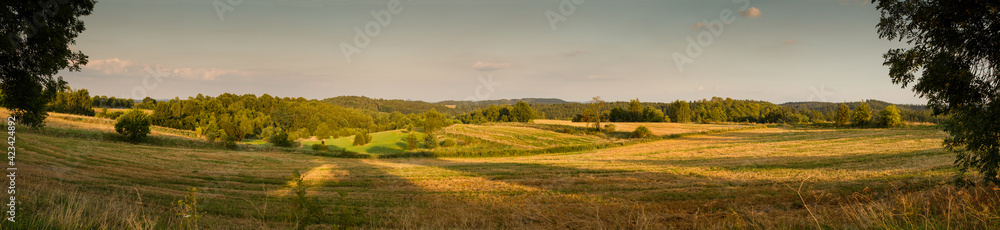 Obraz premium Wide fields panorama